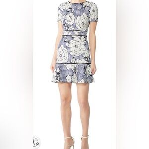 Slate & Willow Blue and White Floral Mini Dress